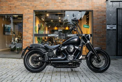 SOFTAIL SLIM FLSL
